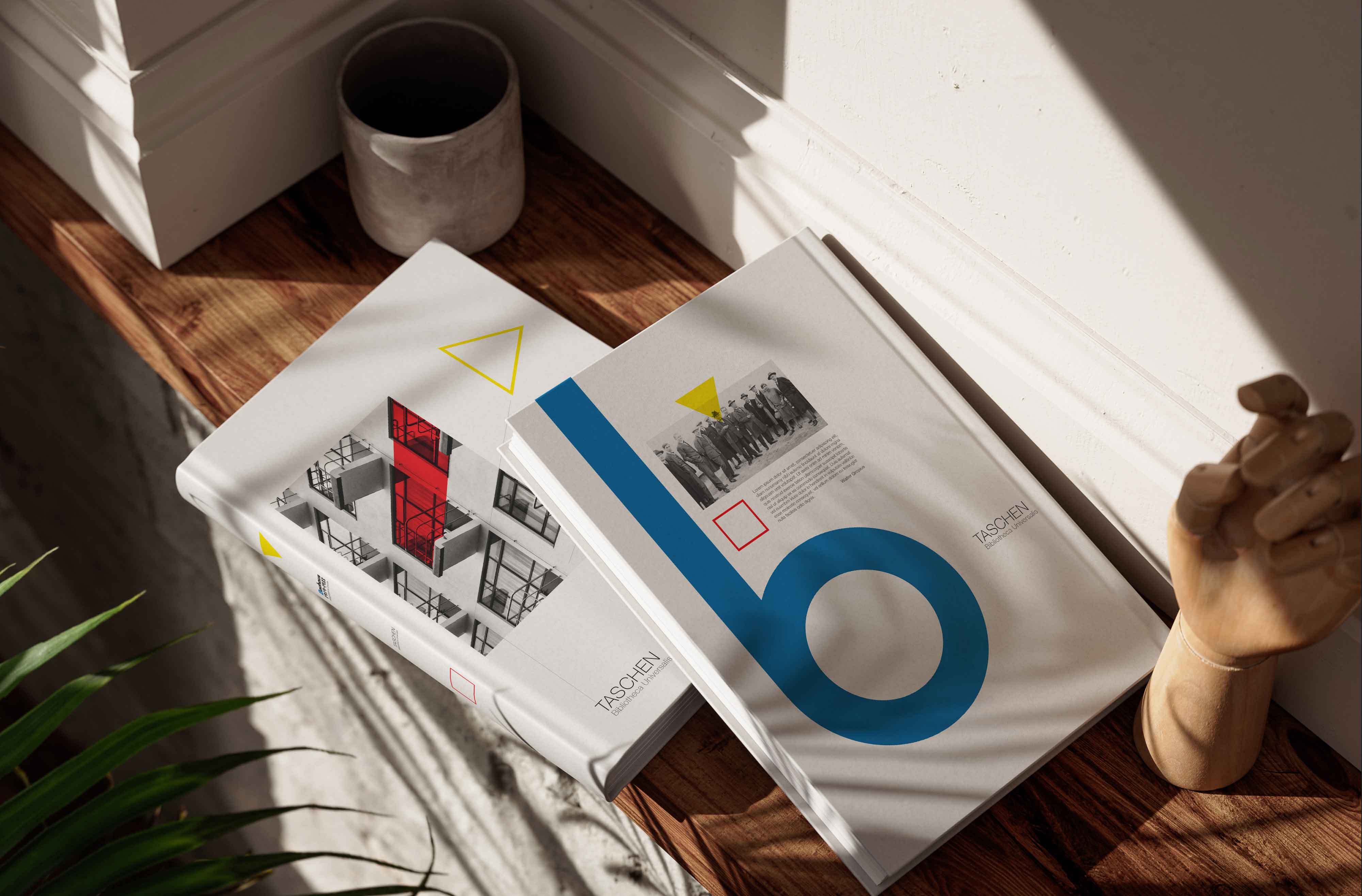 Two hardcover books placed on a wooden surface near a window with soft natural light streaming in. The book on the left features a modernist architectural design with red and white geometric elements, including windows and balconies, highlighted by yellow triangular accents. The book on the right has a minimalist cover with a large blue lowercase ‘b,’ a historical black-and-white photo, and a red square accent. A ceramic mug and a wooden mannequin hand are also visible, adding an artistic touch to the scene, with green leaves in the foreground for a natural aesthetic.